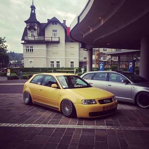 13285529_247668275602635_851880385_n